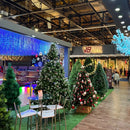 Cascata Led Master Decor | Brilho Mágico e Instalação Sem Esforço