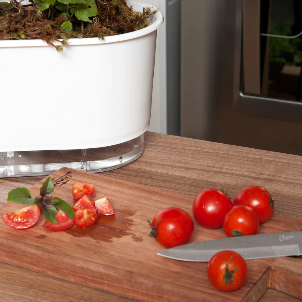 Jardineira Autoirrigável Florescere | Plantas Saudáveis Sem Trabalho Diário